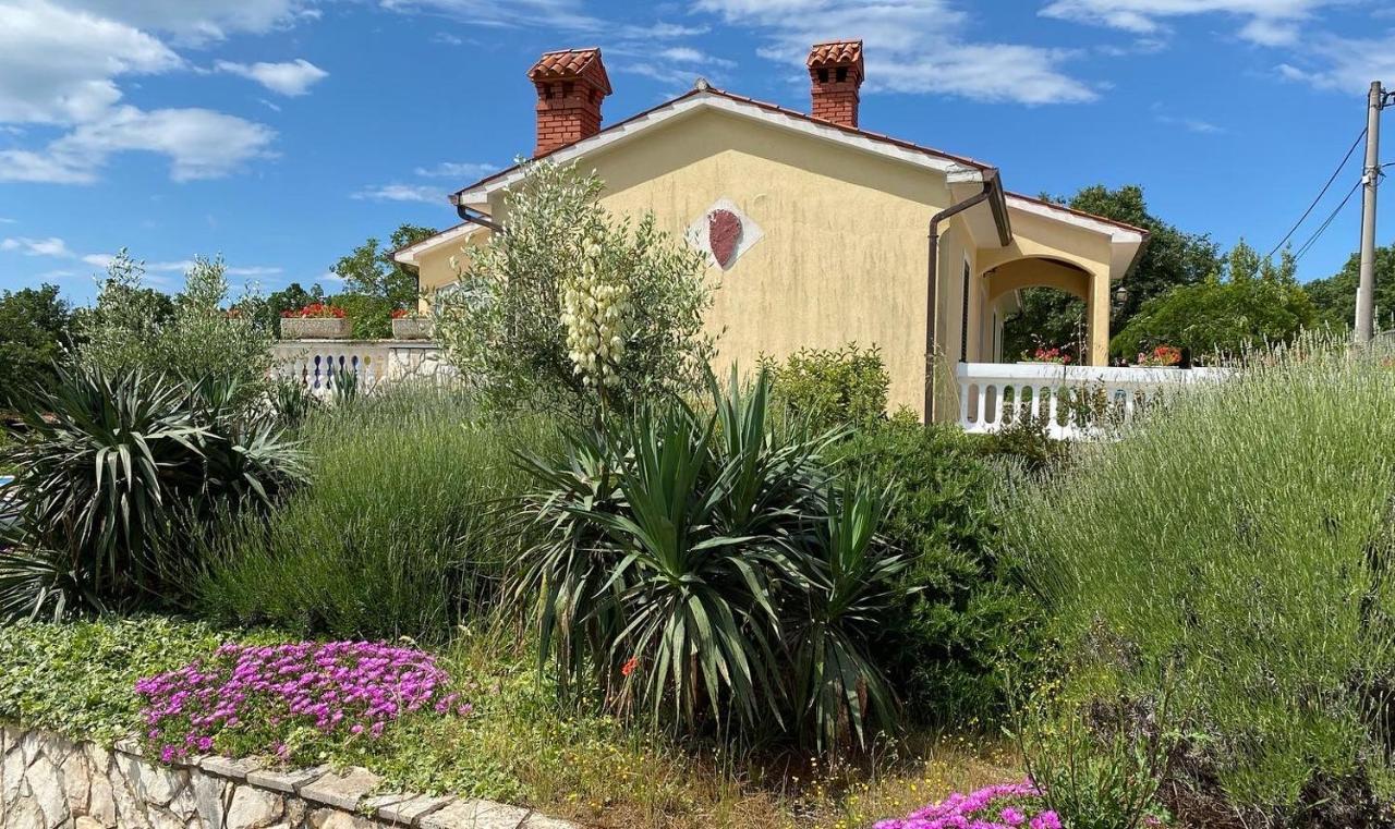 Villa Yucca Istra Labin  Bagian luar foto